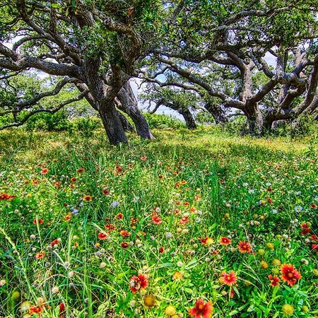 Rockport Getawayヴィラ エクステリア 写真